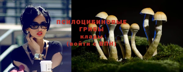 круглые Алзамай