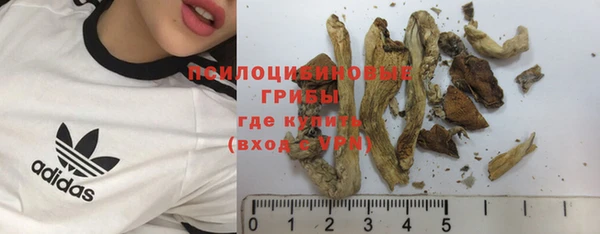 круглые Алзамай