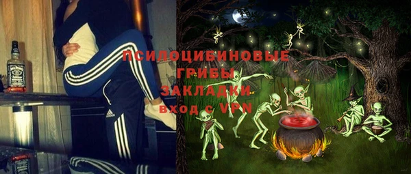 ГАЛЛЮЦИНОГЕННЫЕ ГРИБЫ Алексин