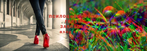 круглые Алзамай