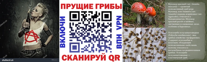 Псилоцибиновые грибы Psilocybine cubensis  omg ONION  Чусовой 